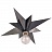 Потолочный светильник VISUAL COMFORT ERIC COHLER STAR SILVER Черный фото 3